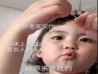 上海成弘旺网络科技有限公司
