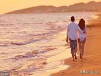上海成弘旺网络科技有限公司