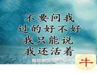 上海成弘旺网络科技有限公司