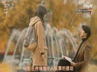 上海成弘旺网络科技有限公司