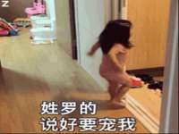 上海成弘旺网络科技有限公司