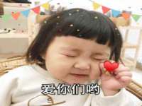 上海成弘旺网络科技有限公司