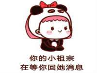 上海成弘旺网络科技有限公司