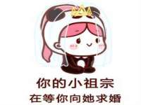 上海成弘旺网络科技有限公司