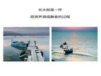 上海成弘旺网络科技有限公司