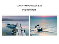 上海成弘旺网络科技有限公司
