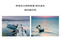 上海成弘旺网络科技有限公司