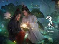 上海成弘旺网络科技有限公司
