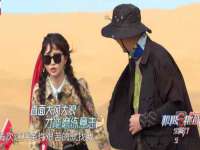 上海成弘旺网络科技有限公司
