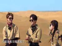 上海成弘旺网络科技有限公司