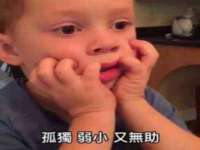 上海成弘旺网络科技有限公司