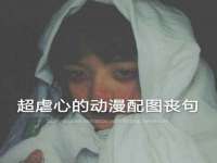 上海成弘旺网络科技有限公司