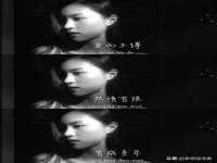 上海成弘旺网络科技有限公司