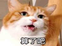 上海成弘旺网络科技有限公司