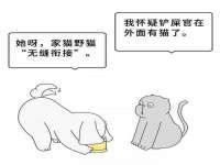 上海成弘旺网络科技有限公司