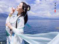 上海成弘旺网络科技有限公司