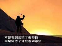 上海成弘旺网络科技有限公司