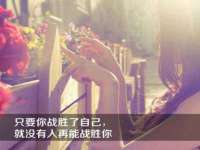 上海成弘旺网络科技有限公司