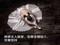 上海成弘旺网络科技有限公司
