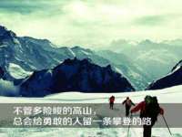 上海成弘旺网络科技有限公司