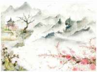 上海成弘旺网络科技有限公司