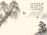 上海成弘旺网络科技有限公司