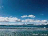 上海成弘旺网络科技有限公司