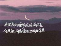 上海成弘旺网络科技有限公司