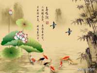 上海成弘旺网络科技有限公司