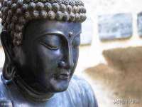 上海成弘旺网络科技有限公司