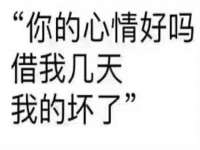 上海成弘旺网络科技有限公司