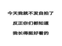 上海成弘旺网络科技有限公司