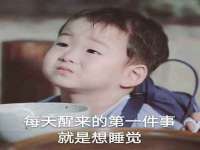 上海成弘旺网络科技有限公司
