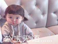上海成弘旺网络科技有限公司