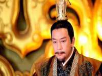 上海成弘旺网络科技有限公司