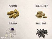 上海成弘旺网络科技有限公司
