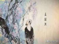 上海成弘旺网络科技有限公司