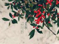 上海成弘旺网络科技有限公司