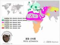 上海成弘旺网络科技有限公司