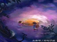 上海成弘旺网络科技有限公司