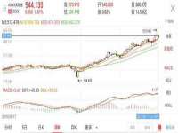 上海成弘旺网络科技有限公司