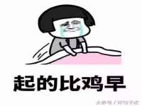上海成弘旺网络科技有限公司