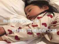 上海成弘旺网络科技有限公司