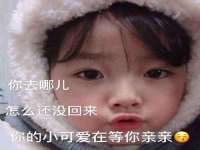 上海成弘旺网络科技有限公司