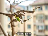 上海成弘旺网络科技有限公司