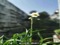 上海成弘旺网络科技有限公司