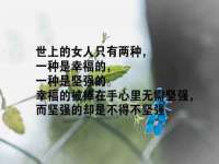 上海成弘旺网络科技有限公司