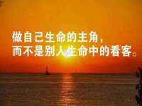 上海成弘旺网络科技有限公司