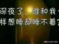 上海成弘旺网络科技有限公司