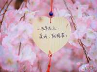 上海成弘旺网络科技有限公司